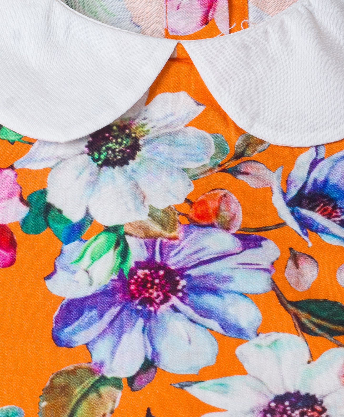 vintage floral dress with contrast collars