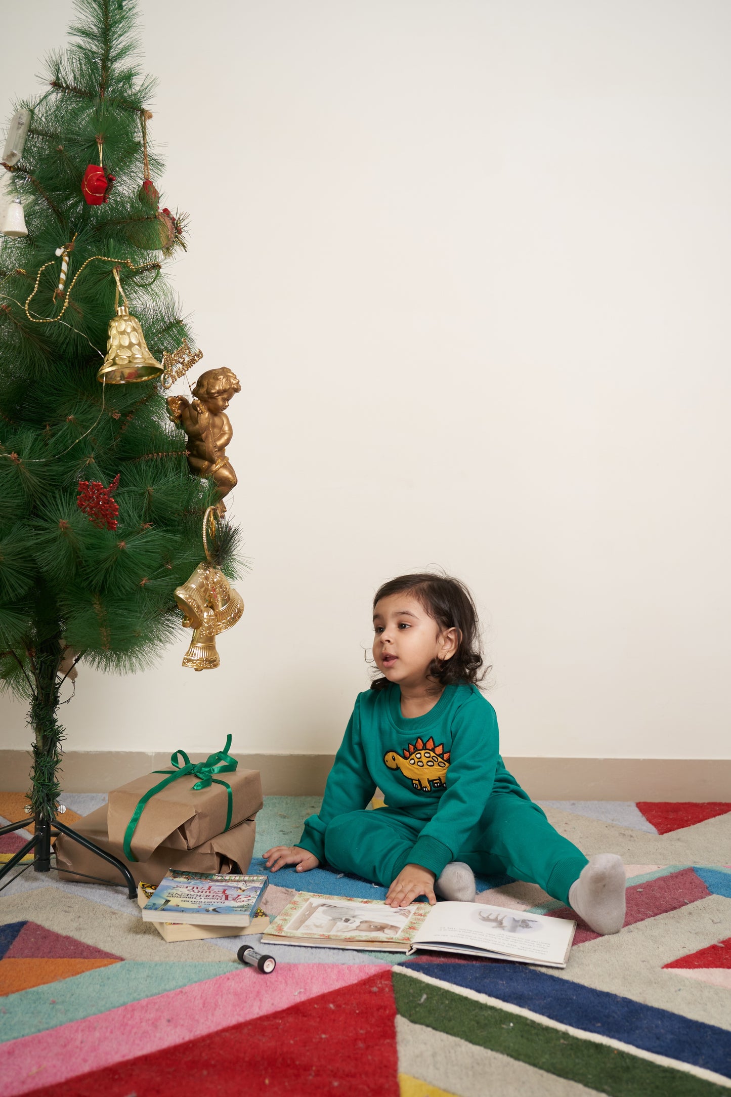 Green tracksuit with Dino embroidery