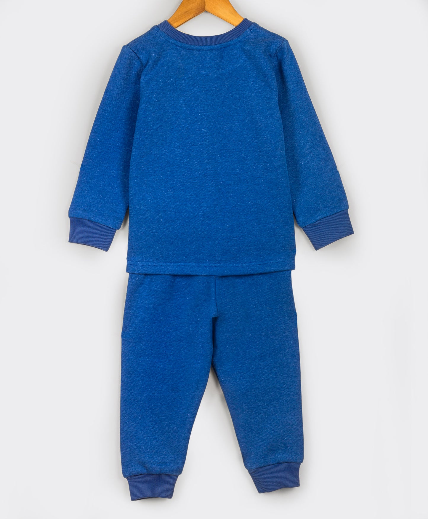 Lion embroidery blue tracksuit