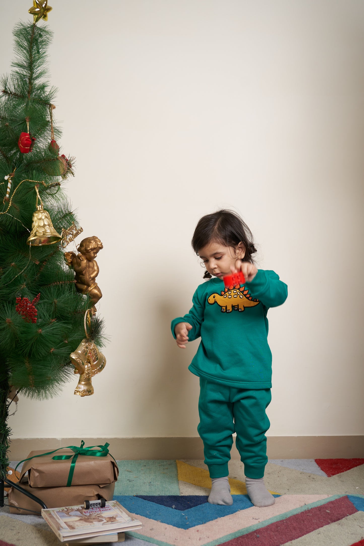 Green tracksuit with Dino embroidery