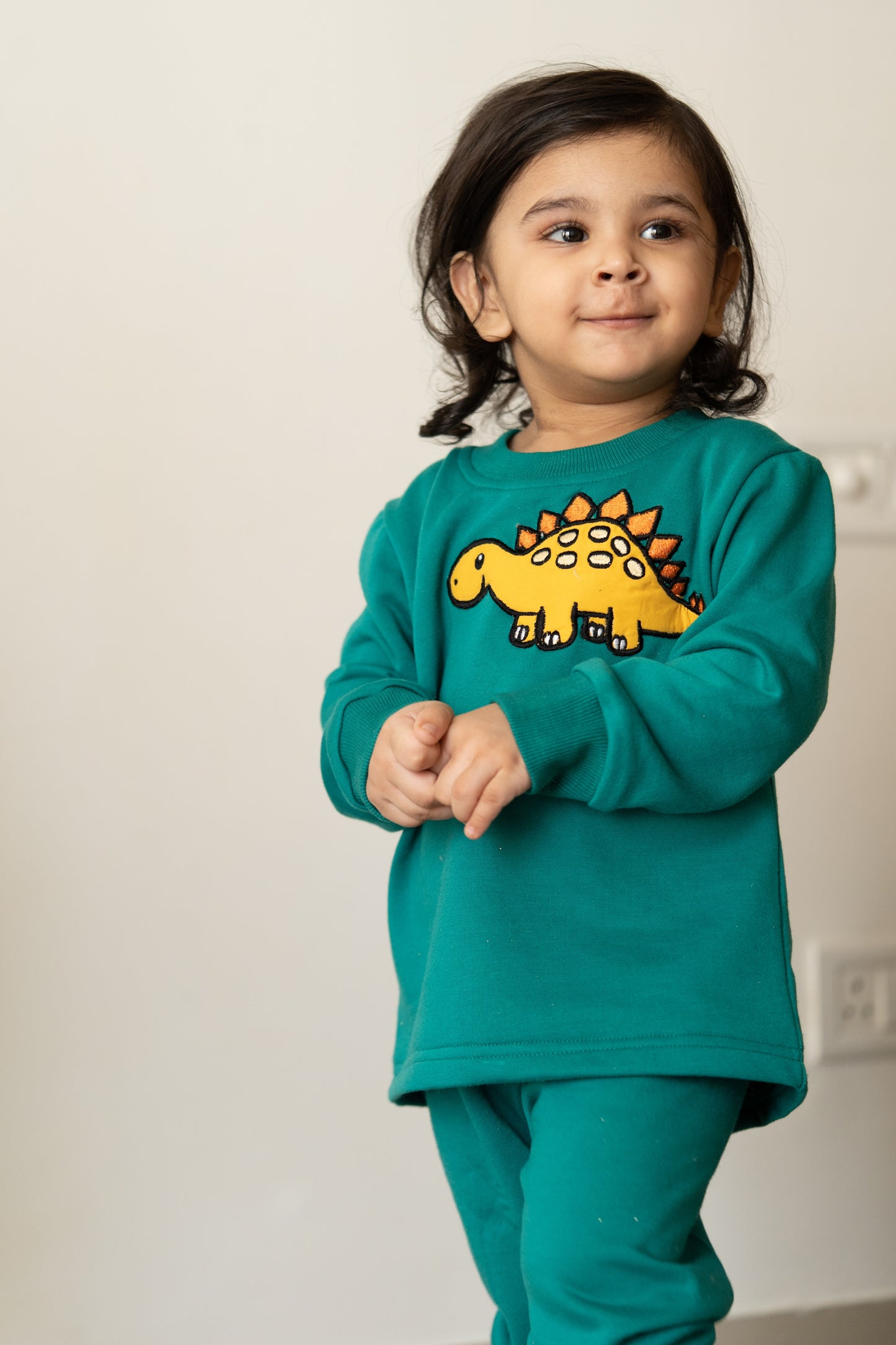 Green tracksuit with Dino embroidery